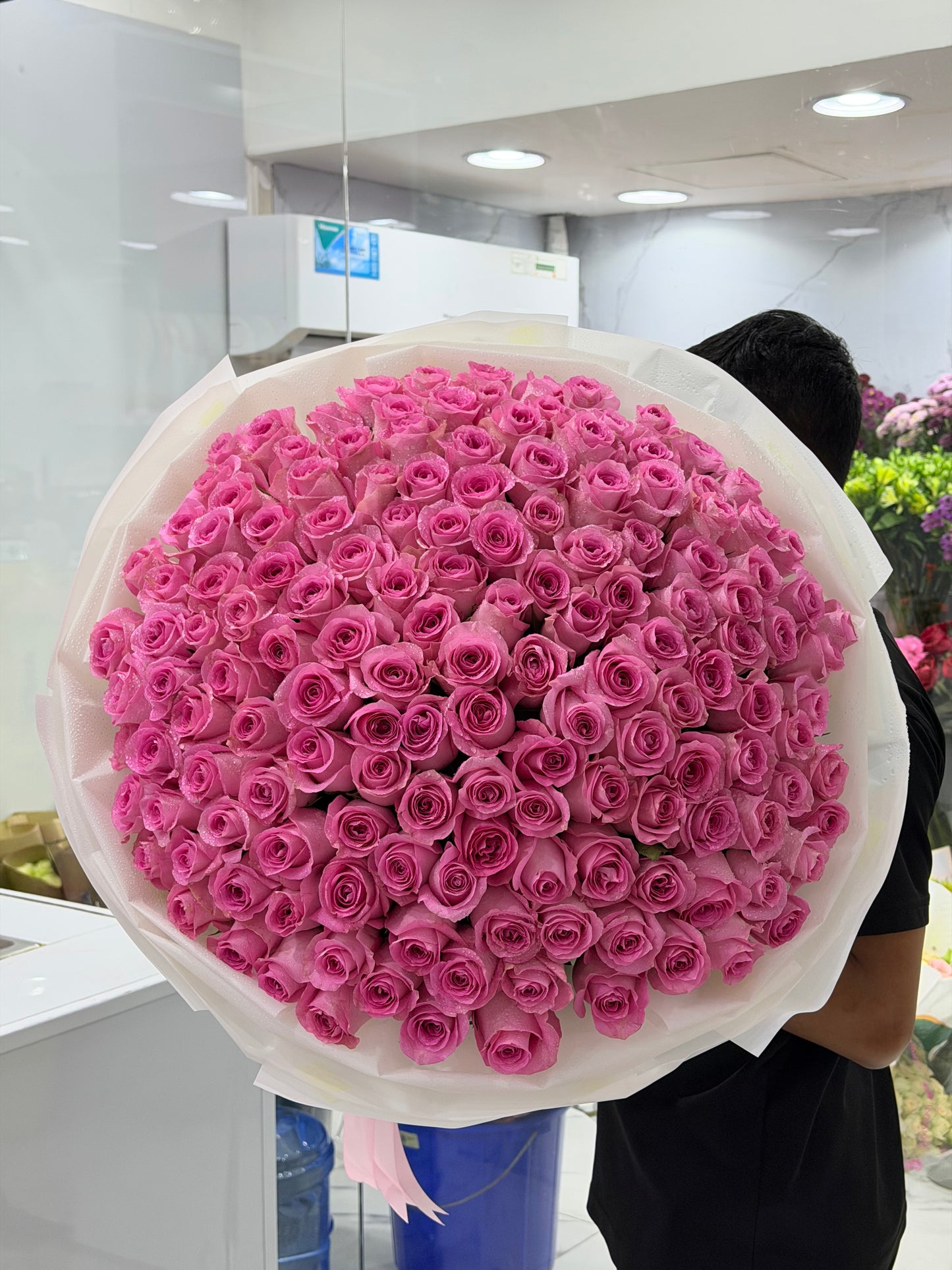 151 Pink Roses Love Statement