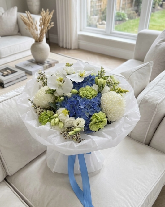 Serenity in Bloom: The Azure & Ivory Collection🌱
