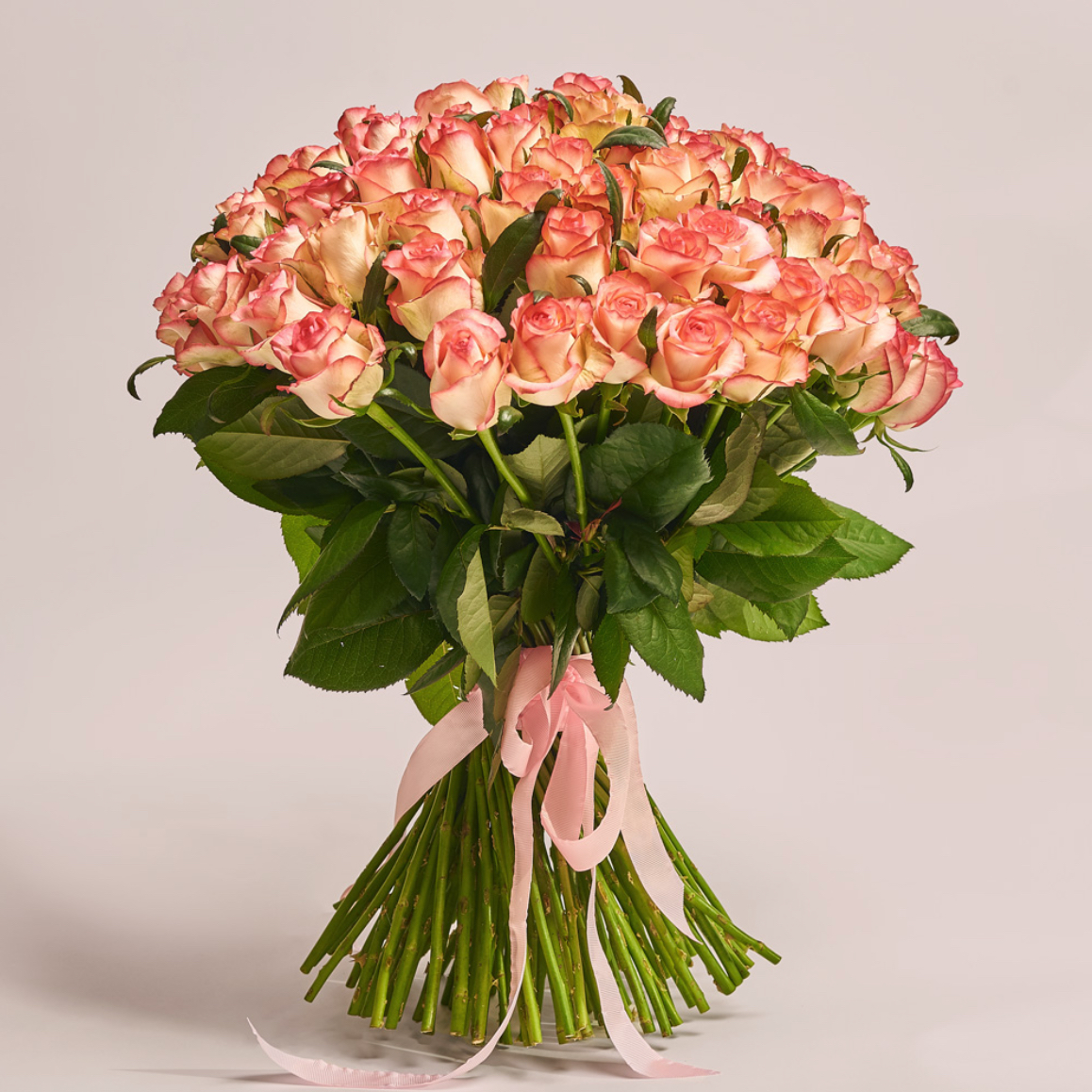 100 Jumilia Roses Bunch