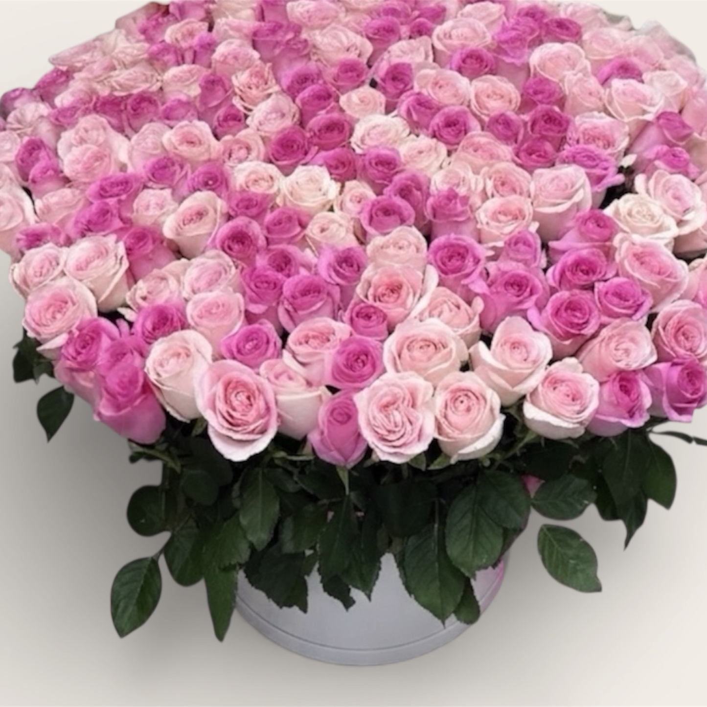 201 Pink Shades Fluers Box