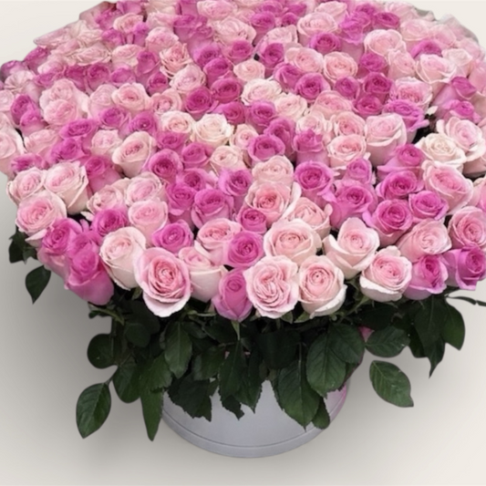 201 Pink Shades Fluers Box