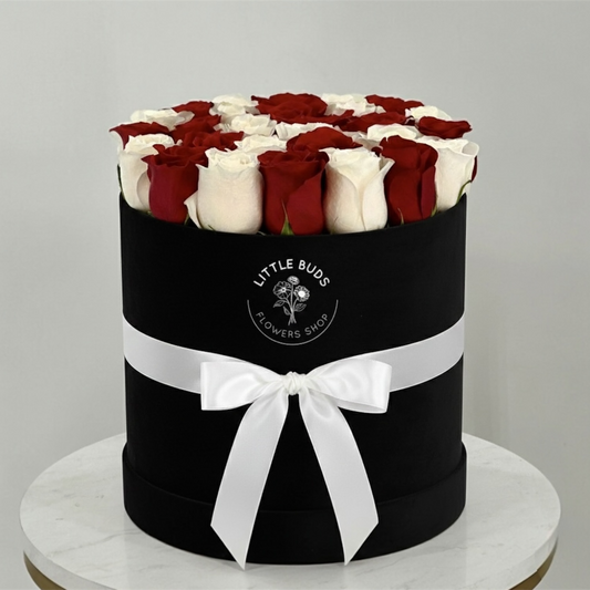 Where Passion Meets Purity